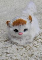 Кот из меха 3 во Северобайкальске